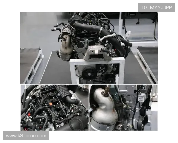 揭秘EVO厅的先进设施与专业赛事组织背后的秘密