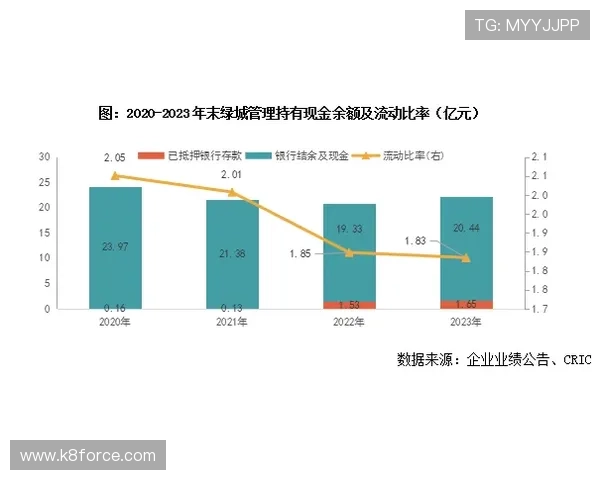 分析K8亚娱集团的盈利模式：多元化收入结构与持续增长的动力